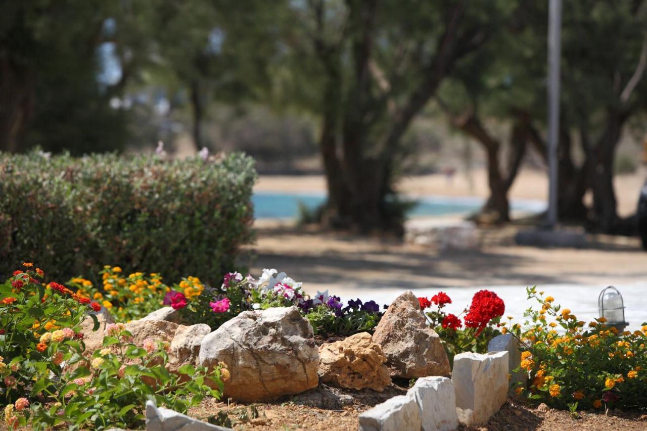 Paros Inn โลการาส ภายนอก รูปภาพ